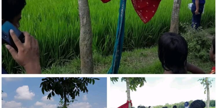গোদাগাড়ী কাকনে ধান ক্ষেত থেকে এক তরুণীর অর্ধগলিত লাশ উদ্ধার