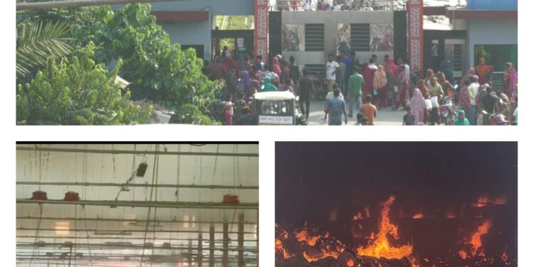 শার্শায় আফিল জুট  মিলে  ভয়াবহ অগ্নিকান্ড কোটি টাকার ক্ষয়ক্ষতি  আহত ১