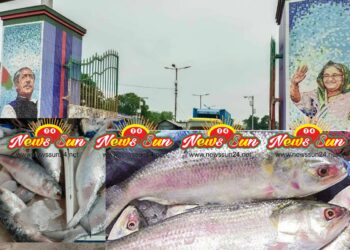 বেনাপোল বন্দর দিয়ে দ্বিতীয় দিনে ভারতে ইলিশ গেল ৫০ মেট্রিক টন