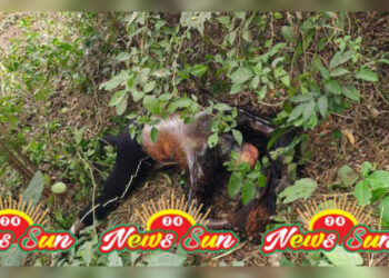 স্বর্ণেরবার আত্মসাতের অজুহাতে  অপহৃত যুবকের ৫দিনপর লাশ উদ্ধার