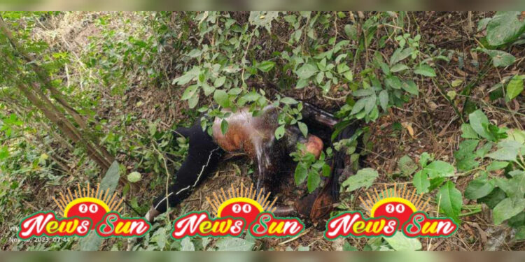 স্বর্ণেরবার আত্মসাতের অজুহাতে অপহৃত যুবকের ৫দিনপর লাশ উদ্ধার