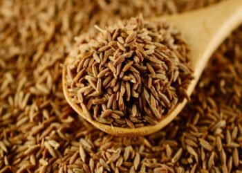 জিরার দাম এক লাফে ৪০০ টাকা কমেছে!!