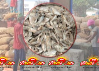 বেনাপোল বন্দরে ৫০ মেঃ টন মাছের খাবারের সাথে ঘোষনাবর্হিভূত ৭ মেঃ টন শুটকি মাছ সহ পন‍্যচালান আটক