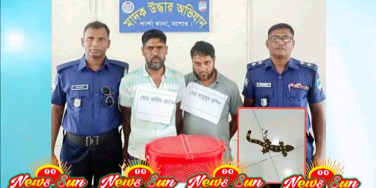 শার্শায় তক্ষকর সাপ সহ দুইজন আটক