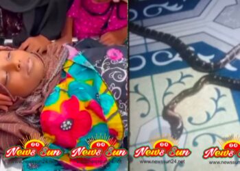 ঝিকরগাছায় সাপের কামড়ে ১ কিশোরির মৃত্যু আহত মা