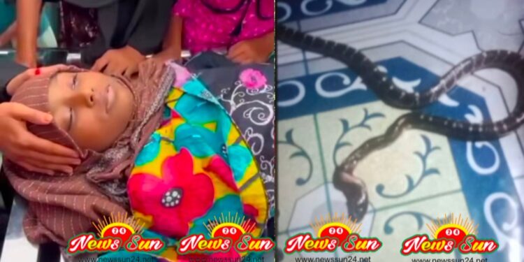 ঝিকরগাছায় সাপের কামড়ে ১ কিশোরির মৃত্যু আহত মা