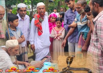 যশোরে বিষধর সাপের কামড়ে ৬ষ্ট শ্রেণীর এক কিশোরের মৃত্যু