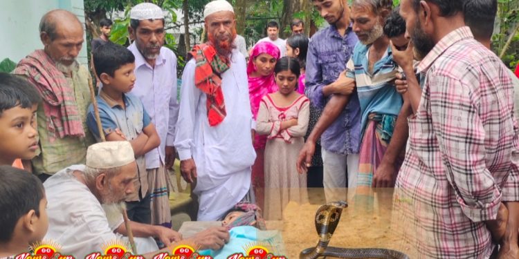 যশোরে বিষধর সাপের কামড়ে ৬ষ্ট শ্রেণীর এক কিশোরের মৃত্যু