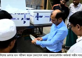 দুর্গাপূজা উপলক্ষে বেনাপোল দিয়ে ৮ দিনে ভারতে গেল ১০২.২১৪ মেট্রিকটন ইলিশ