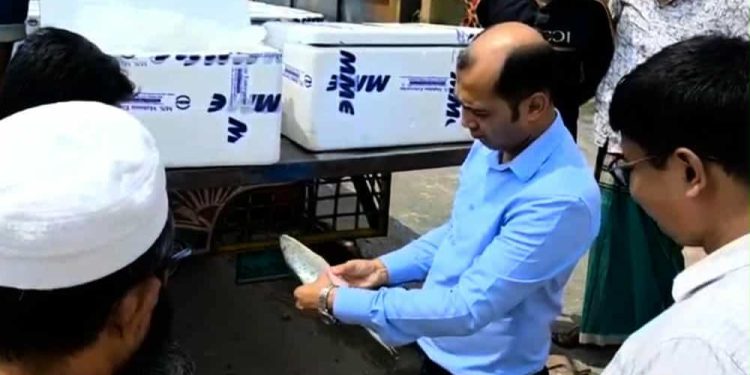 দুর্গাপূজা উপলক্ষে বেনাপোল দিয়ে ৮ দিনে ভারতে গেল ১০২.২১৪ মেট্রিকটন ইলিশ