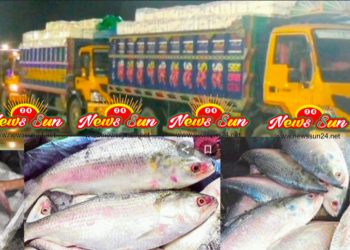 বেনাপোল দিয়ে দূর্গাপুজা উপলক্ষ্যে ভারতে গেল প্রথম চালানের ইলিশ