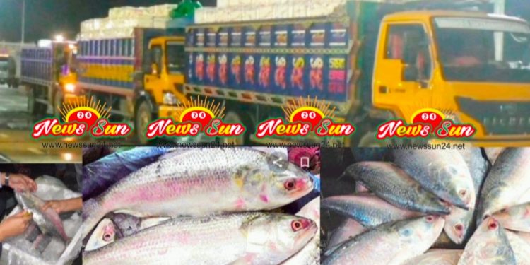 বেনাপোল দিয়ে দূর্গাপুজা উপলক্ষ্যে ভারতে গেল প্রথম চালানের ইলিশ