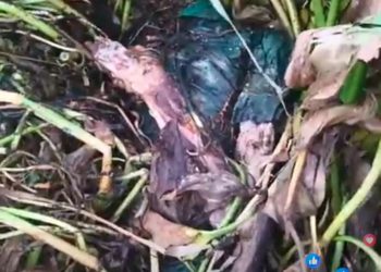 চকরিয়ায় ভাসমান শিশুর গলিত লাশ উদ্ধার