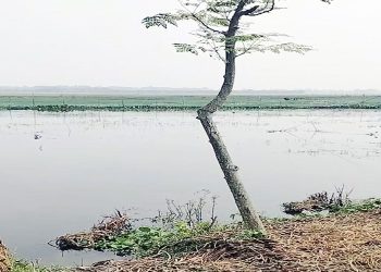 বেনাপোলের দক্ষিনে কৃষকদের দুঃখ চাত্রের বিল