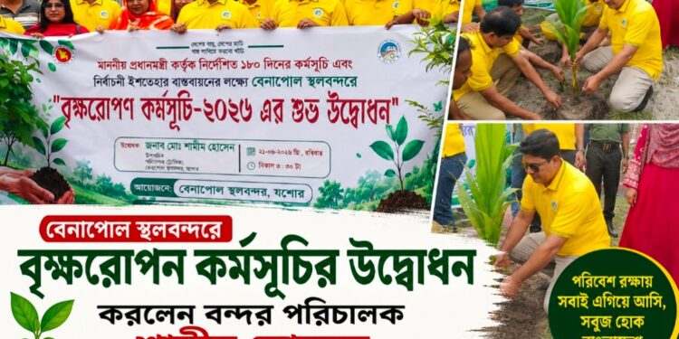 বেনাপোল স্থলবন্দরে বৃক্ষরোপন কর্মসুচীর উদ্বোধন করলেন বন্দর পরিচালক শামীম হোসেন
