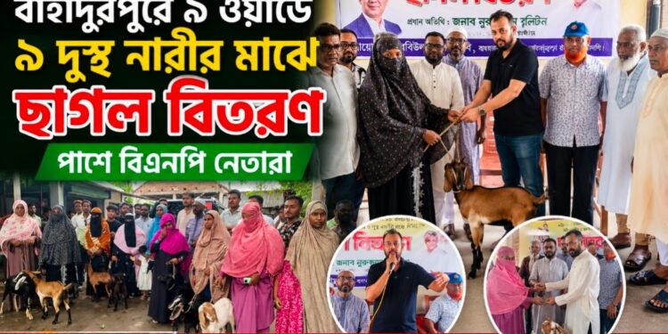 অসহায় নারীদের মুখে হাসি ফুটালেন রবি: বাহাদুরপুরে ৯ ওয়ার্ডে ৯ দুস্থ নারীর মাঝে ছাগল বিতরণ, পাশে বিএনপি নেতারা