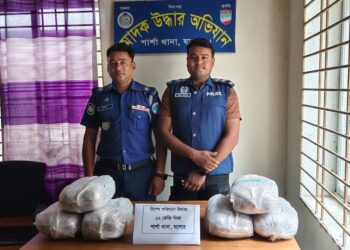 শার্শায় পুলিশের বিশেষ অভিযানে ১২ কেজি গাঁজা উদ্ধার, পালিয়ে গেল মাদক কারবারিরা